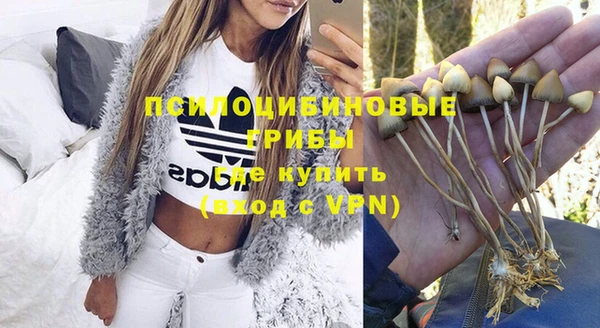 прущие крисы Алексеевка