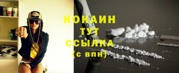 прущие грибы Арсеньев