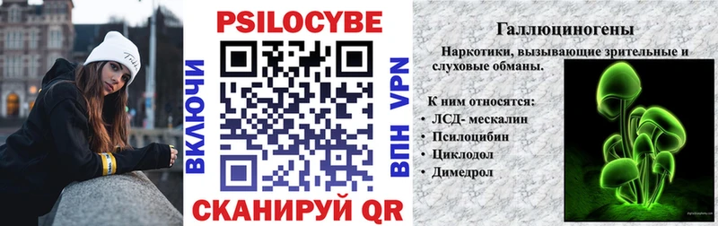 сколько стоит Усмань Псилоцибиновые грибы Psilocybine cubensis